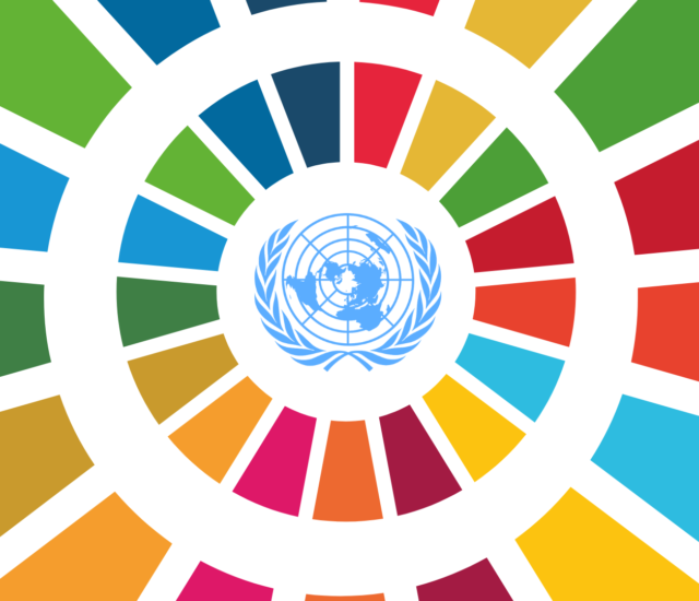 Cosa sono gli SDG? I 17 Obiettivi di Sviluppo Sostenibile dell’ONU