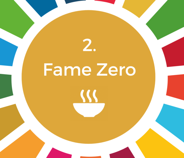 Fame zero: guida al secondo SDG